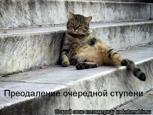 Преодаление очередной ступени... Котоматрица: Преодаление очередной ступени