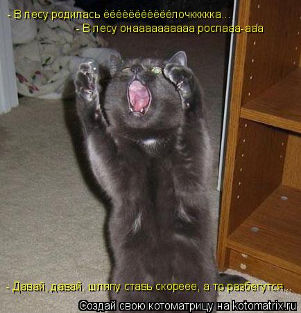 - В лесу родилась ёёёёёёёёёёёлочккккка... - В лесу онаааааааааа рослааа-ааа - Давай, давай, шляпу ста... Котоматрица: - В лесу родилась ёёёёёёёёёёёлочккккка... - В лесу онаааааааааа рослааа-ааа - Давай, давай, шляпу ставь скореее, а то разбегутся...