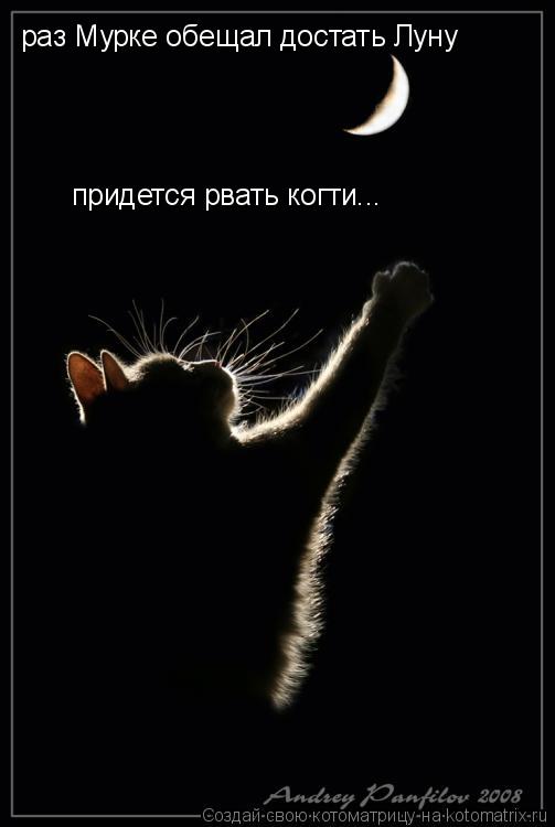 Котоматрица: раз Мурке обещал достать Луну придется рвать когти...