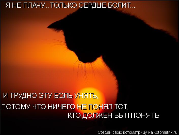 Я НЕ ПЛАЧУ...ТОЛЬКО СЕРДЦЕ БОЛИТ... И ТРУДНО ЭТУ БОЛЬ УНЯТЬ, ПОТОМУ ЧТО НИЧЕГО НЕ ПОНЯЛ ТОТ, КТО ДО... Котоматрица: Я НЕ ПЛАЧУ...ТОЛЬКО СЕРДЦЕ БОЛИТ... И ТРУДНО ЭТУ БОЛЬ УНЯТЬ, ПОТОМУ ЧТО НИЧЕГО НЕ ПОНЯЛ ТОТ, КТО ДОЛЖЕН БЫЛ ПОНЯТЬ…