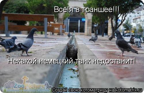 Всё!я в траншее!!! Некакой немецкий танк недостанит!... Котоматрица: Всё!я в траншее!!! Некакой немецкий танк недостанит!