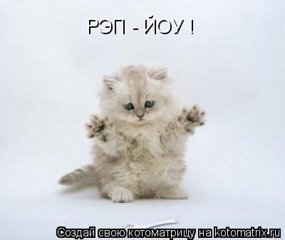 РЭП - ЙОУ !... Котоматрица: РЭП - ЙОУ !