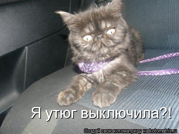 Я утюг выключила?!... Котоматрица: Я утюг выключила?!