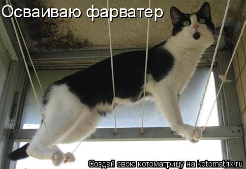 Осваиваю фарватер... Котоматрица: Осваиваю фарватер