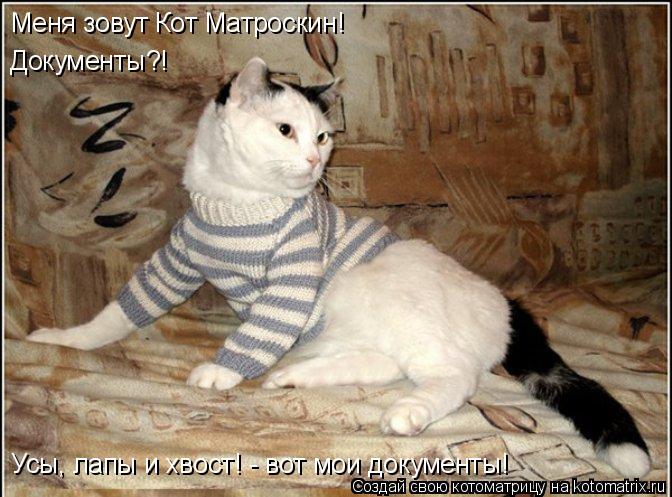 Меня зовут Кот Матроскин! Документы?! Усы, лапы и хвост! - вот мои документы!... Котоматрица: Меня зовут Кот Матроскин! Документы?! Усы, лапы и хвост! - вот мои документы!