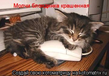 Молчи блондинка крашенная... Котоматрица: Молчи блондинка крашенная