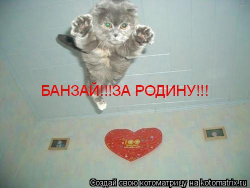 БАНЗАЙ!!!ЗА РОДИНУ!!!... Котоматрица: БАНЗАЙ!!!ЗА РОДИНУ!!!