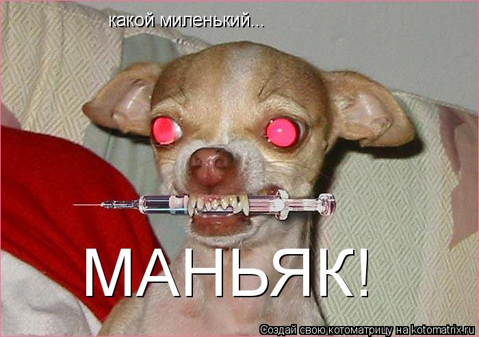 какой миленький... МАНЬЯК!... Котоматрица: какой миленький... МАНЬЯК!