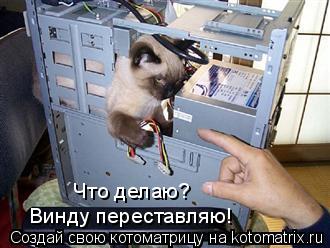 Винду переставляю! Что делаю?... Котоматрица: Винду переставляю! Что делаю?