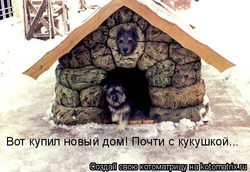 Вот купил новый дом! Почти с кукушкой...... Котоматрица: Вот купил новый дом! Почти с кукушкой...