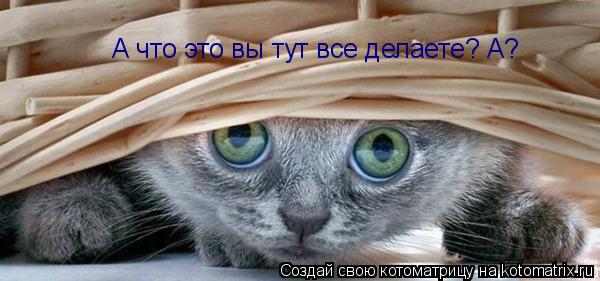 А что это вы тут все делаете? А?... Котоматрица: А что это вы тут все делаете? А?