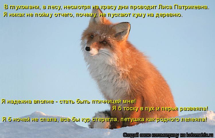 В глухомани, в лесу, несмотря на красу дни проводит Лиса Патрикевна. Я никак не пойму отчего, почему,... Котоматрица: В глухомани, в лесу, несмотря на красу дни проводит Лиса Патрикевна. Я никак не пойму отчего, почему, не пускают куму на деревню… Я надежна в