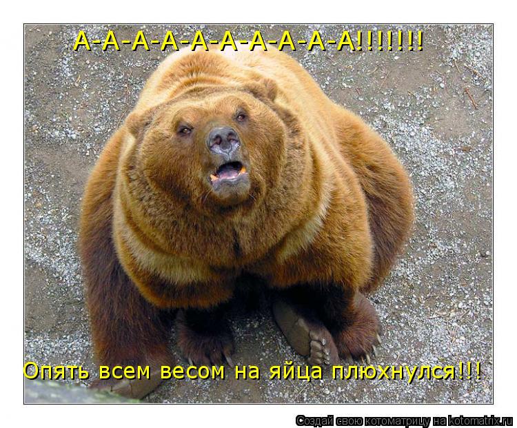 А-А-А-А-А-А-А-А-А-А!!!!!!! Опять всем весом на яйца плюхнулся!!!... Котоматрица: А-А-А-А-А-А-А-А-А-А!!!!!!! Опять всем весом на яйца плюхнулся!!!