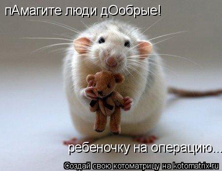 пАмагите люди дОобрые! ребеночку на операцию...... Котоматрица: пАмагите люди дОобрые! ребеночку на операцию...