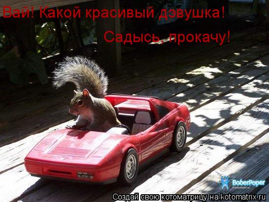 Вай! Какой красивый дэвушка! Садысь, прокачу!... Котоматрица: Вай! Какой красивый дэвушка! Садысь, прокачу!
