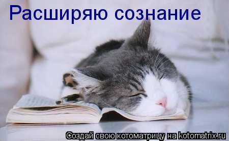 Расширяю сознание... Котоматрица: Расширяю сознание