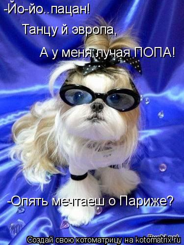 -Йо-йо..пацан! Танцу й эвропа, А у меня лучая ПОПА! -Опять мечтаеш о Париже?... Котоматрица: -Йо-йо..пацан! Танцу й эвропа, А у меня лучая ПОПА! -Опять мечтаеш о Париже?