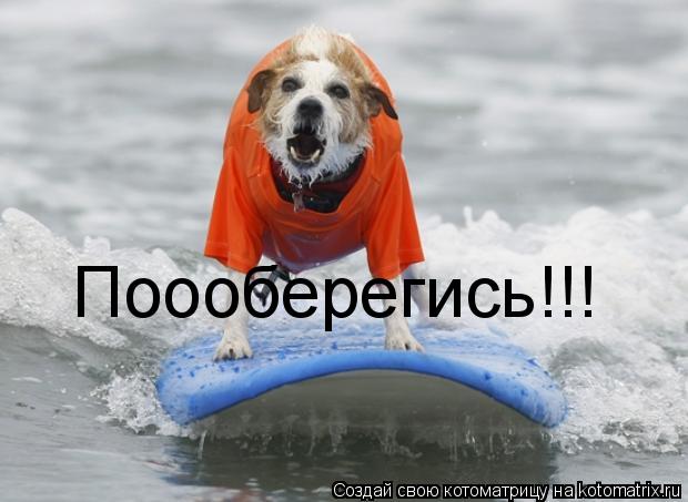 Поооберегись!!!... Котоматрица: Поооберегись!!!