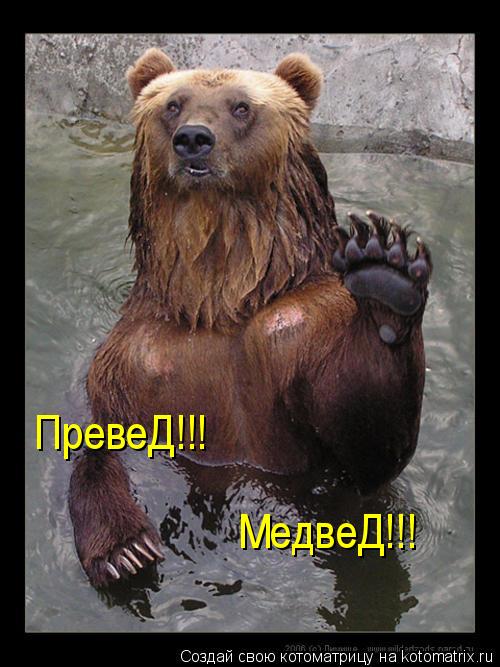 МедвеД!!! ПревеД!!!... Котоматрица: МедвеД!!! ПревеД!!!