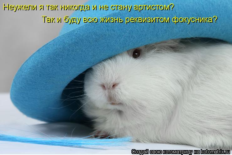 Неужели я так никогда и не стану артистом? Так и буду всю жизнь реквизитом фокусника?... Котоматрица: Неужели я так никогда и не стану артистом? Так и буду всю жизнь реквизитом фокусника?