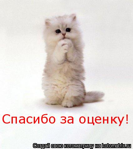 Спасибо за оценку!... Котоматрица: Спасибо за оценку!