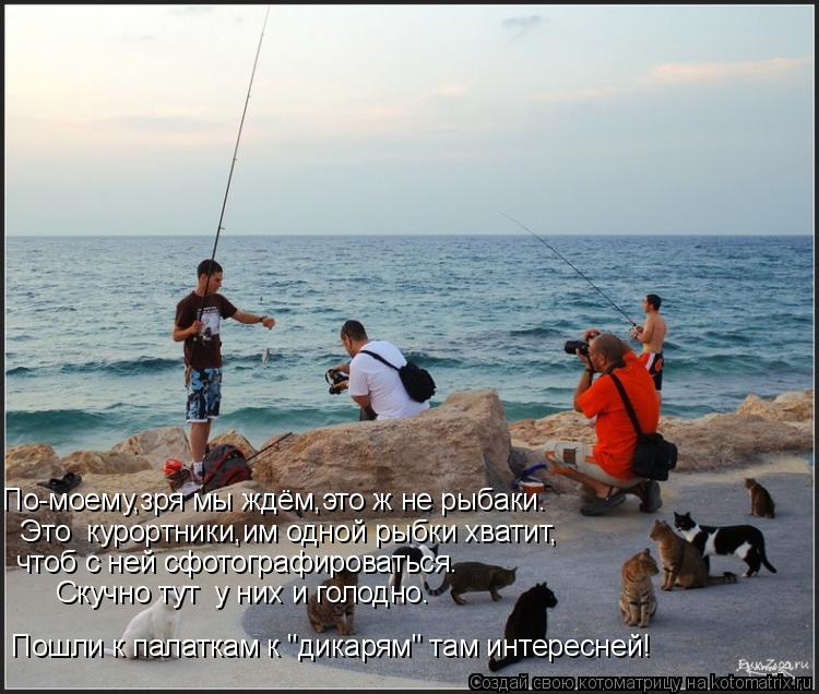 По-моему,зря мы ждём,это ж не рыбаки. Это курортники,им одной рыбки хватит, чтоб с ней сфотографиров... Котоматрица: По-моему,зря мы ждём,это ж не рыбаки. Это курортники,им одной рыбки хватит, чтоб с ней сфотографироваться. Пошли к палаткам к "дикарям" там ин