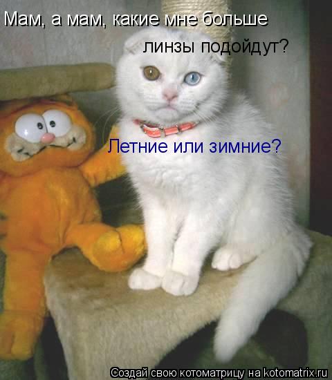 Мам, а мам, какие мне больше линзы подойдут? Летние или зимние?... Котоматрица: Мам, а мам, какие мне больше линзы подойдут? Летние или зимние?