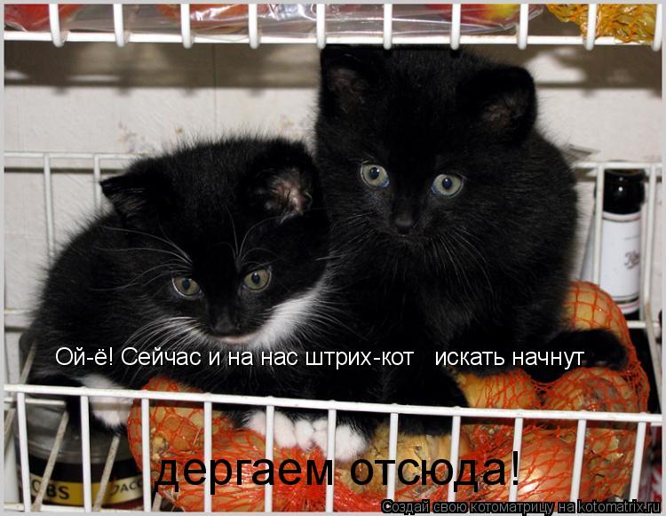 Ой-ё! Сейчас и на нас штрих-кот искать начнут дергаем отсюда!... Котоматрица: Ой-ё! Сейчас и на нас штрих-кот искать начнут дергаем отсюда!