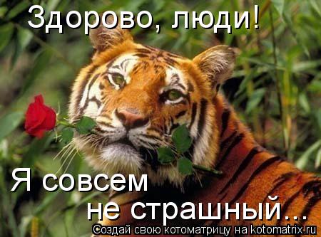 Здорово, люди! Я совсем не страшный...... Котоматрица: Здорово, люди! Я совсем не страшный...