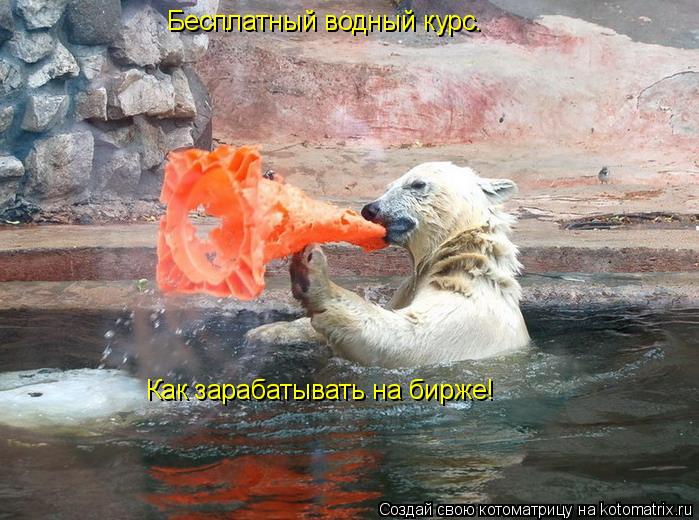 Бесплатный водный курс. Как зарабатывать на бирже!... Котоматрица: Бесплатный водный курс. Как зарабатывать на бирже!