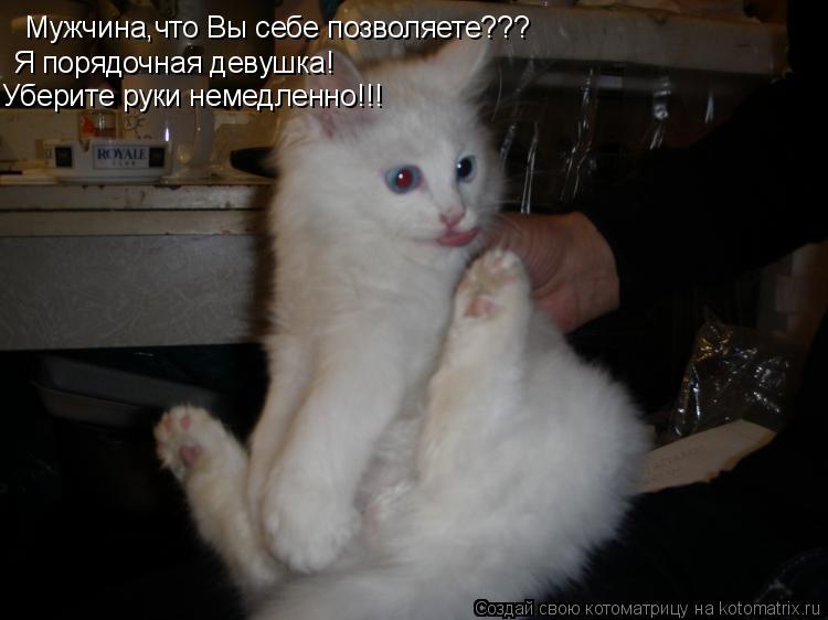 Мужчина,что Вы себе позволяете??? Я порядочная девушка! Уберите руки немедленно!!!... Котоматрица: Мужчина,что Вы себе позволяете??? Я порядочная девушка! Уберите руки немедленно!!!