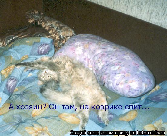 А хозяин? Он там, на коврике спит...... Котоматрица: А хозяин? Он там, на коврике спит...
