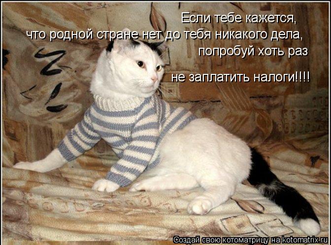 Если тебе кажется, что родной стране нет до тебя никакого дела, попробуй хоть раз не заплатить налоги... Котоматрица: Если тебе кажется, что родной стране нет до тебя никакого дела, попробуй хоть раз не заплатить налоги!!!!