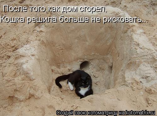 После того,как дом сгорел, Кошка решила больше не рисковать...... Котоматрица: После того,как дом сгорел, Кошка решила больше не рисковать...