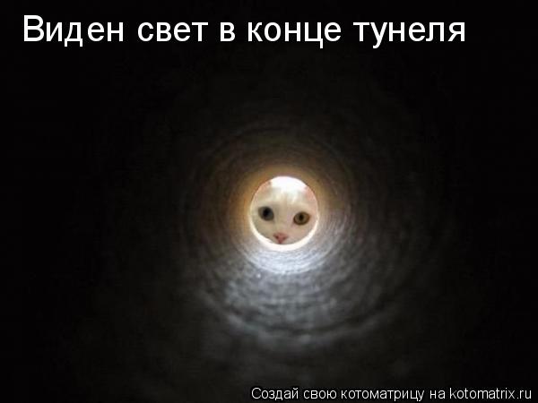 Виден свет в конце тунеля... Котоматрица: Виден свет в конце тунеля