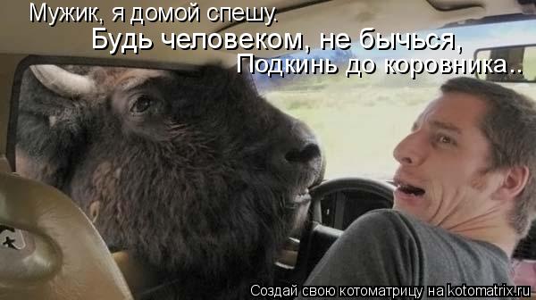 Мужик, я домой спешу. Подкинь до коровника.. Будь человеком, не бычься,... Котоматрица: Мужик, я домой спешу. Подкинь до коровника.. Будь человеком, не бычься,