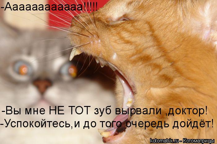 -Вы мне НЕ ТОТ зуб вырвали ,доктор! -Аааааааааааа!!!!! -Успокойтесь,и до того очередь дойдёт!... Котоматрица: -Вы мне НЕ ТОТ зуб вырвали ,доктор! -Аааааааааааа!!!!! -Успокойтесь,и до того очередь дойдёт!