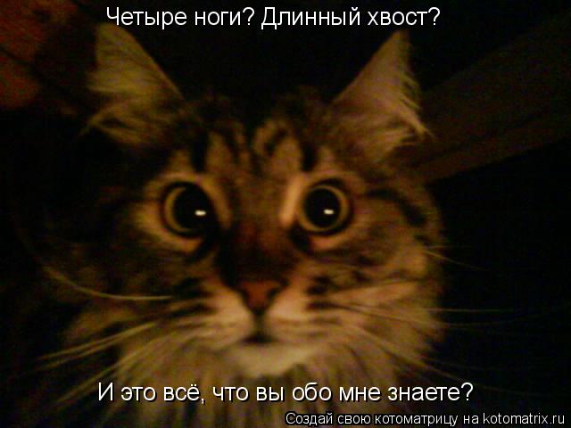 Четыре ноги? Длинный хвост? И это всё, что вы обо мне знаете?... Котоматрица: Четыре ноги? Длинный хвост? И это всё, что вы обо мне знаете?