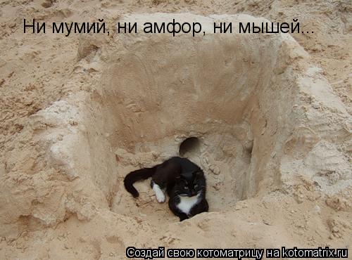 Ни мумий, ни амфор, ни мышей...... Котоматрица: Ни мумий, ни амфор, ни мышей...
