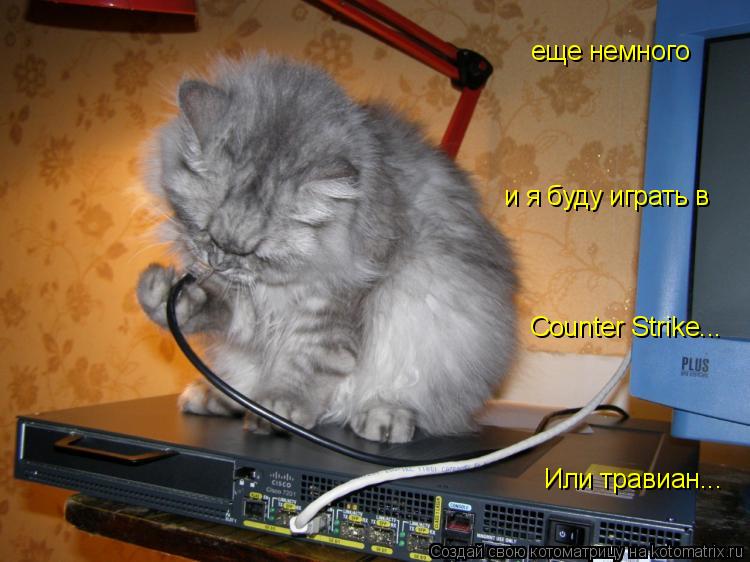 Counter Strike... еще немного и я буду играть в Или травиан...... Котоматрица: Counter Strike... еще немного и я буду играть в Или травиан...