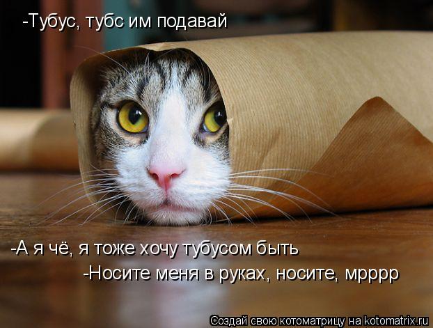 -Тубус, тубс им подавай -А я чё, я тоже хочу тубусом быть -Носите меня в руках, носите, мрррр... Котоматрица: -Тубус, тубс им подавай -А я чё, я тоже хочу тубусом быть -Носите меня в руках, носите, мрррр