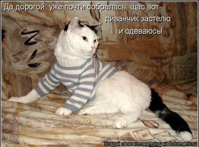 Да,дорогой, уже почти собралась, щас вот диванчик застелю , и одеваюсь!... Котоматрица: Да,дорогой, уже почти собралась, щас вот диванчик застелю , и одеваюсь!