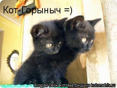 Кот-Горыныч =)... Котоматрица: Кот-Горыныч =)