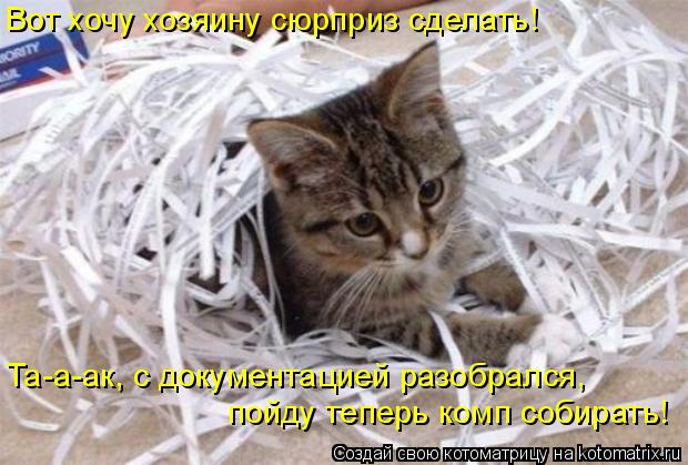 Та-а-ак, с документацией разобрался, пойду теперь комп собирать! Вот хочу хозяину сюрприз сделать!... Котоматрица: Та-а-ак, с документацией разобрался, пойду теперь комп собирать! Вот хочу хозяину сюрприз сделать!