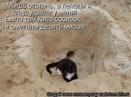 Мышь отстань, в печали я, клад украли у меня! Было там кило сосисок и сметаны десять мисок!... Котоматрица: Мышь отстань, в печали я, клад украли у меня! Было там кило сосисок и сметаны десять мисок!