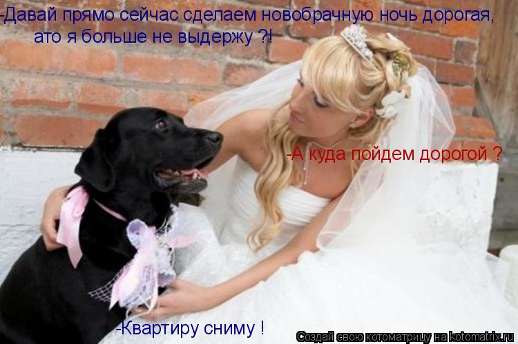 -Давай прямо сейчас сделаем новобрачную ночь дорогая, ато я больше не выдержу ?! -А куда пойдем доро... Котоматрица: -Давай прямо сейчас сделаем новобрачную ночь дорогая, ато я больше не выдержу ?! -А куда пойдем дорогой ? -Квартиру сниму !