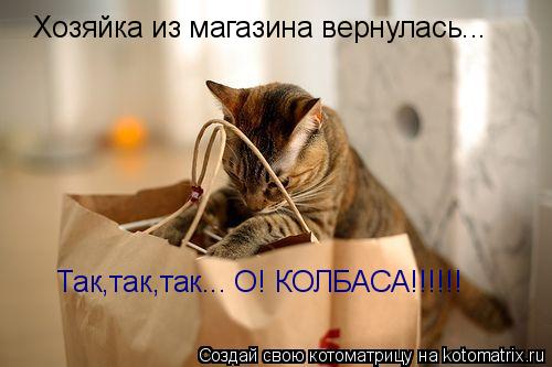 Хозяйка из магазина вернулась... Так,так,так... О! КОЛБАСА!!!!!!... Котоматрица: Хозяйка из магазина вернулась... Так,так,так... О! КОЛБАСА!!!!!!