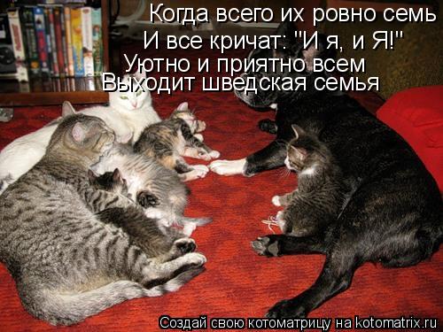 Когда всего их ровно семь И все кричат: "И я, и Я!" Уютно и приятно всем Выходит шведская семья... Котоматрица: Когда всего их ровно семь И все кричат: "И я, и Я!" Уютно и приятно всем Выходит шведская семья