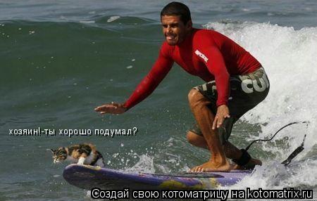 хозяин!-ты хорошо подумал?... Котоматрица: хозяин!-ты хорошо подумал?