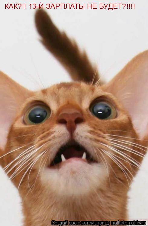 КАК?!! 13-Й ЗАРПЛАТЫ НЕ БУДЕТ?!!!!... Котоматрица: КАК?!! 13-Й ЗАРПЛАТЫ НЕ БУДЕТ?!!!!